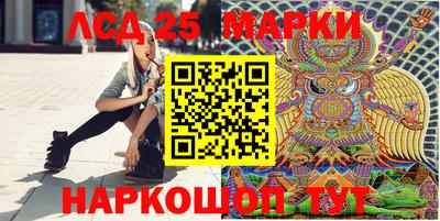 скорость Кандалакша
