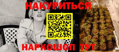 Альфа ПВП Канаш
