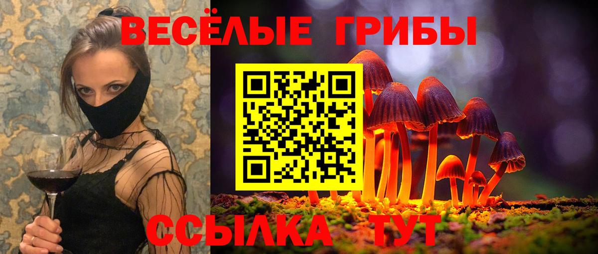 Галлюциногенные грибы Psilocybine cubensis  Вход с VPN  цена наркотик  Псилоцибиновые грибы мухоморы  Кулебаки 